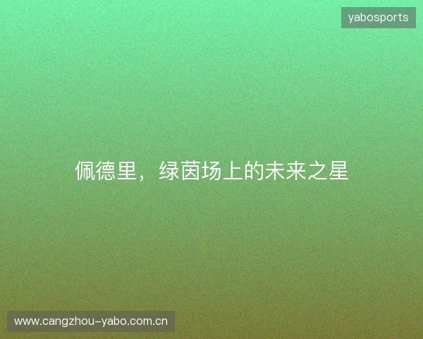 佩德里，绿茵场上的未来之星