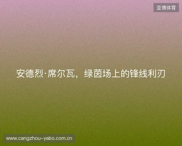 安德烈·席尔瓦，绿茵场上的锋线利刃